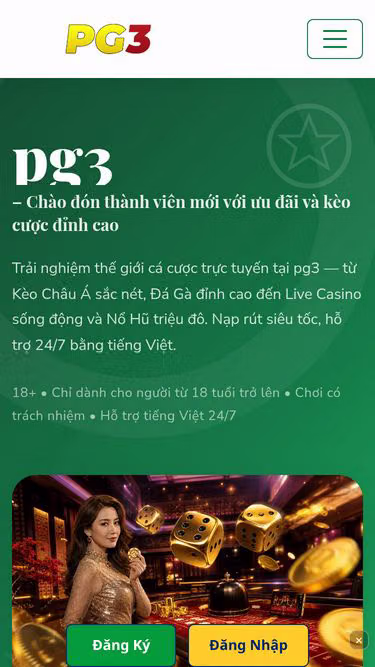 Screenshot of pg3.cam