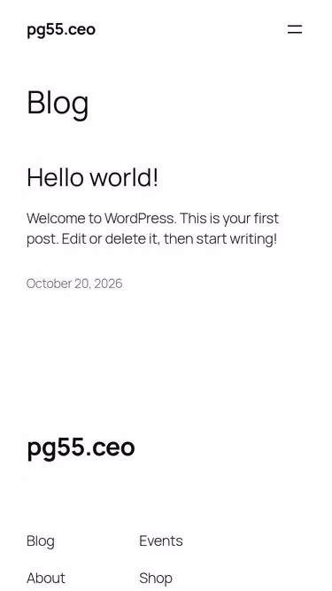 Screenshot of pg55.ceo