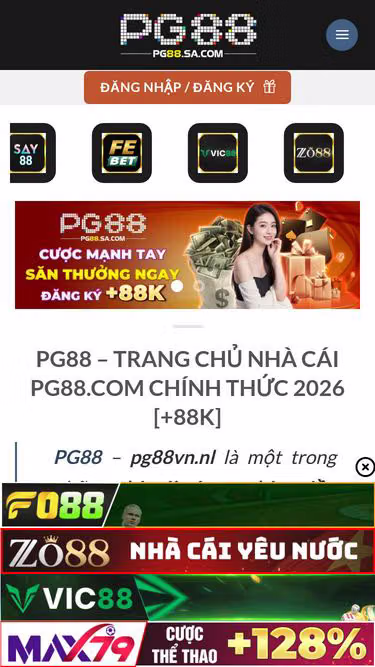 Screenshot of pg88vn.nl