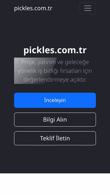 Screenshot of pickles.com.tr