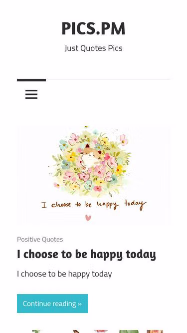 Screenshot of pics.pm