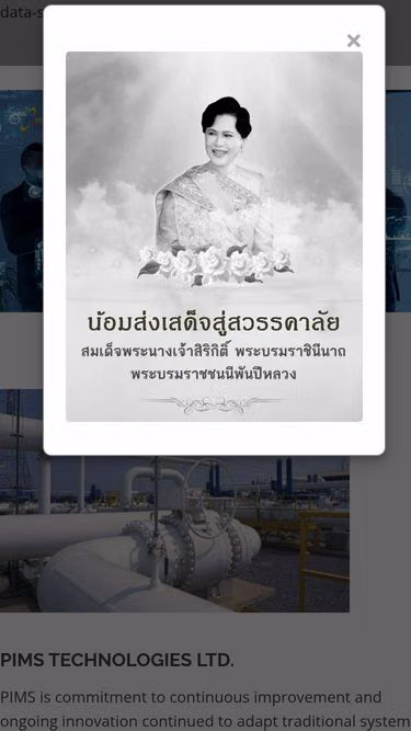 Screenshot of pims.co.th