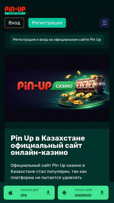 Screenshot of pin-up.rip
