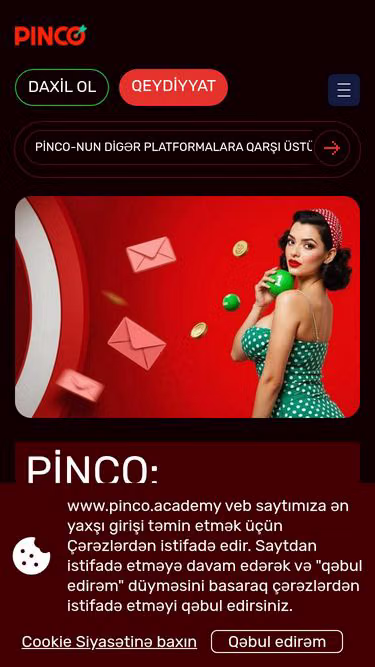 Screenshot of pinco.academy