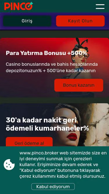 Screenshot of pinco.broker