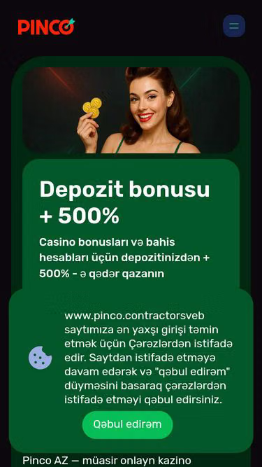 Screenshot of pinco.contractors