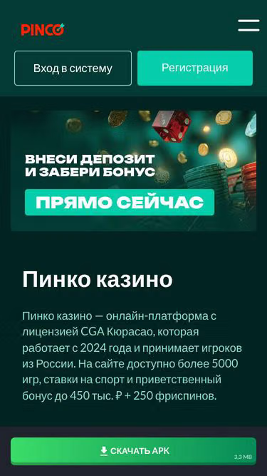 Screenshot of pinco.expert