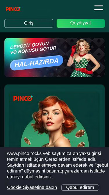 Screenshot of pinco.rocks