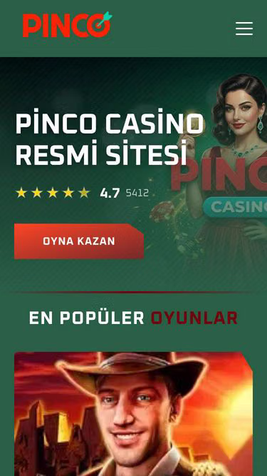 Screenshot of pinco.technology