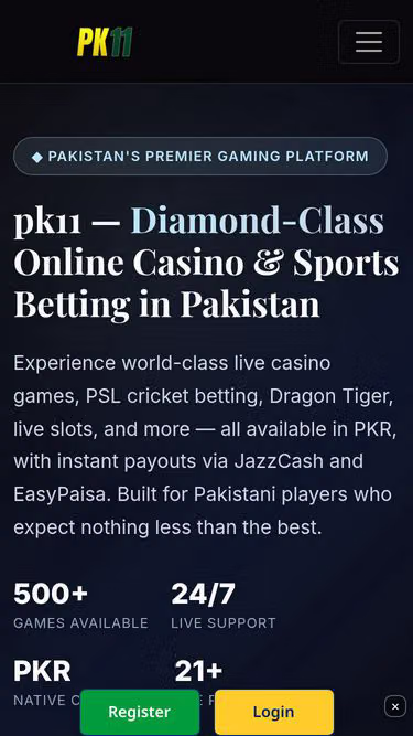 Screenshot of pk11.cam