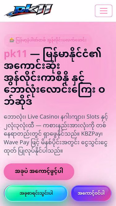 Screenshot of pk11.cash