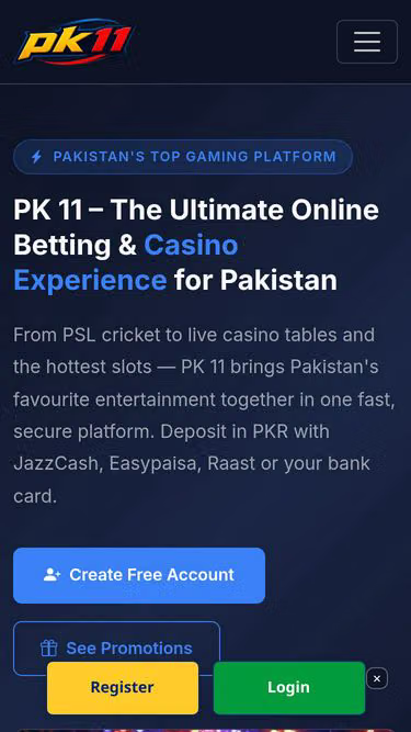 Screenshot of pk11.cx