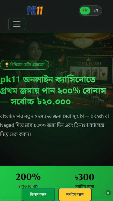 Screenshot of pk11.mom