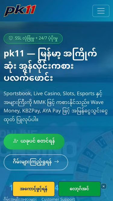 Screenshot of pk11.pw