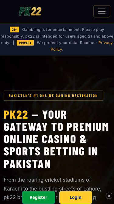 Screenshot of pk22.today