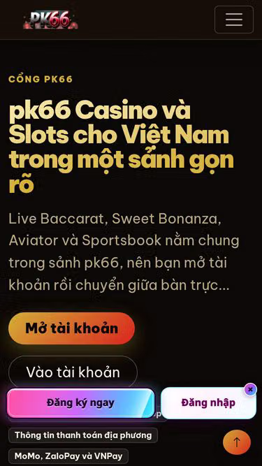 Screenshot of pk66.page