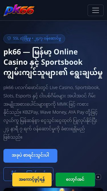Screenshot of pk66.si