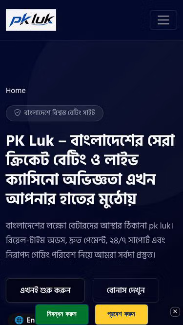 Screenshot of pkluk.run