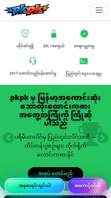 Screenshot of pkpk.world