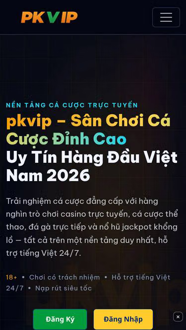 Screenshot of pkvip.io