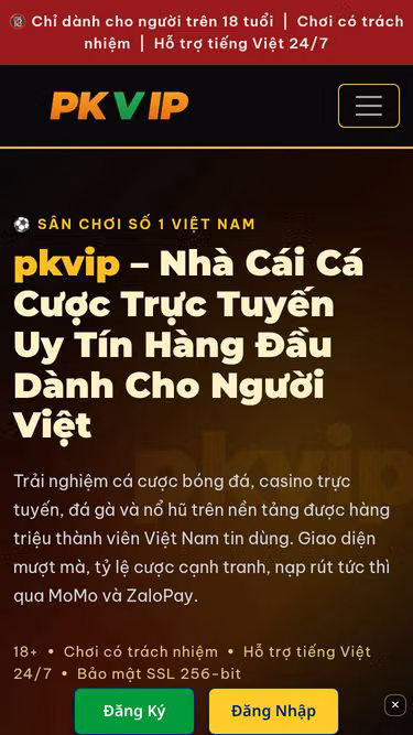 Screenshot of pkvip.tech