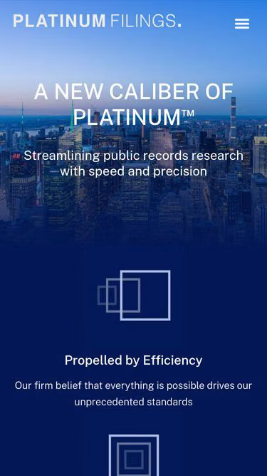 Screenshot of platinum.legal