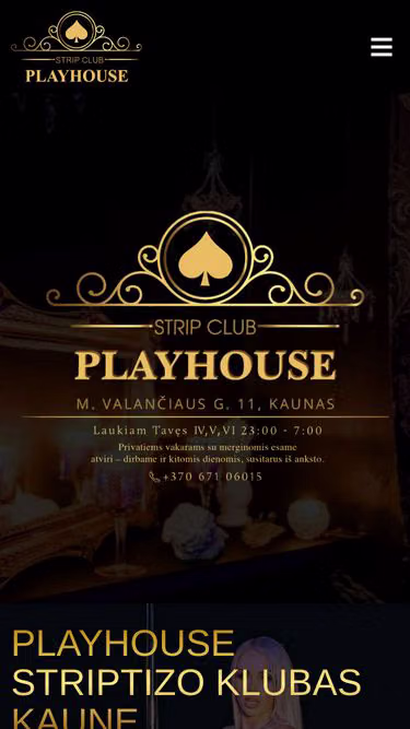 Screenshot of playhouse.lt