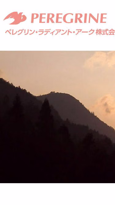 Screenshot of plife.co.jp