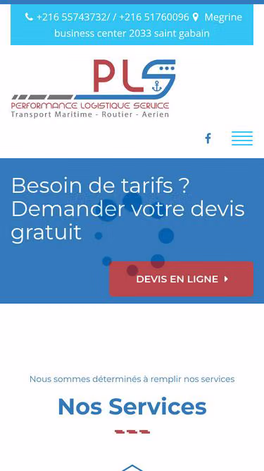 Screenshot of pls.com.tn