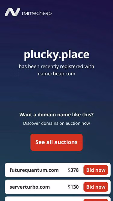 Screenshot of plucky.place