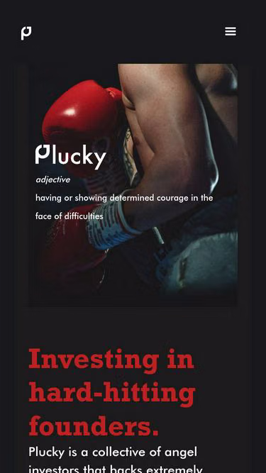 Screenshot of plucky.vc