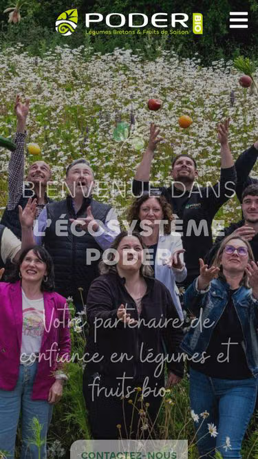 Screenshot of poder.fr