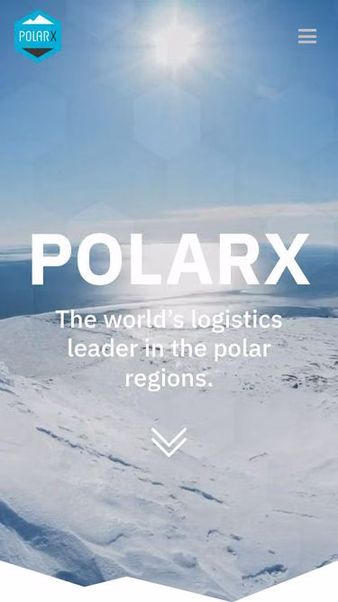 Screenshot of polarx.name