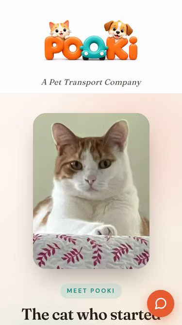 Screenshot of pooki.us