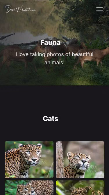 Screenshot of positive.photography