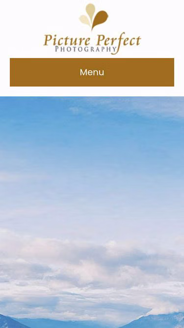 Screenshot of ppp.net.nz