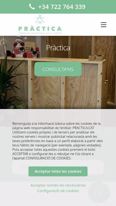 Screenshot of practica.cat