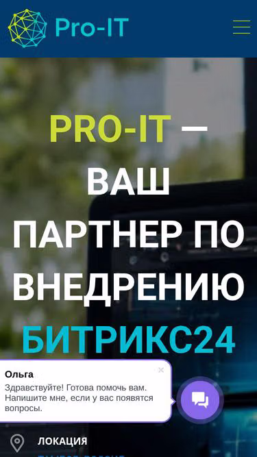 Screenshot of pro-it.online