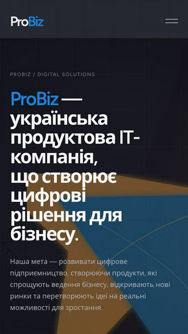Screenshot of probiz.com.ua