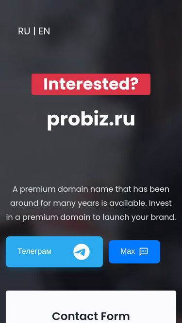 Screenshot of probiz.ru