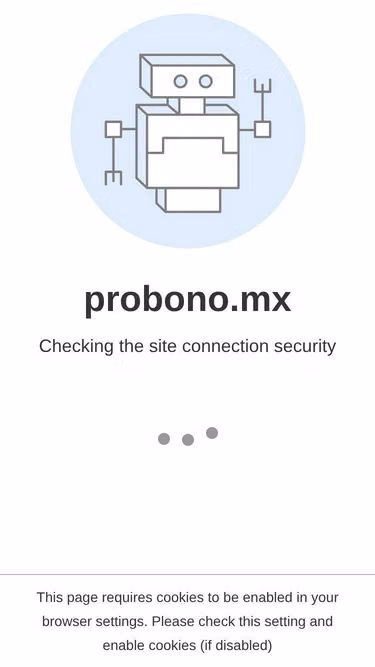 Screenshot of probono.mx