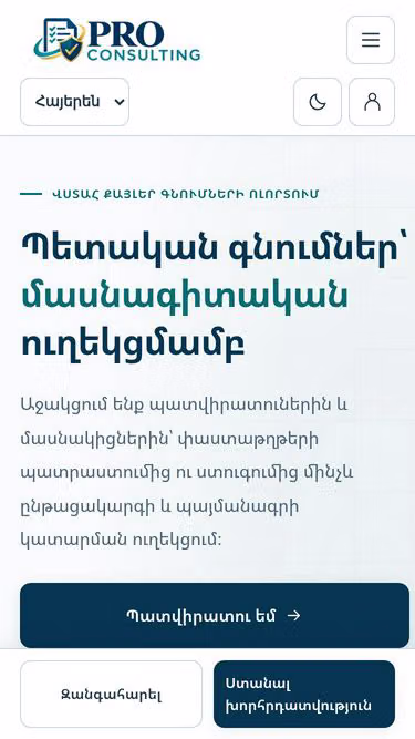 Screenshot of proconsulting.am