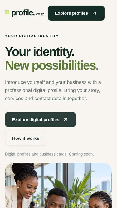 Screenshot of profile.co.tz