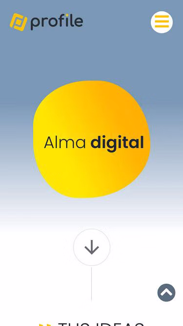 Screenshot of profile.es