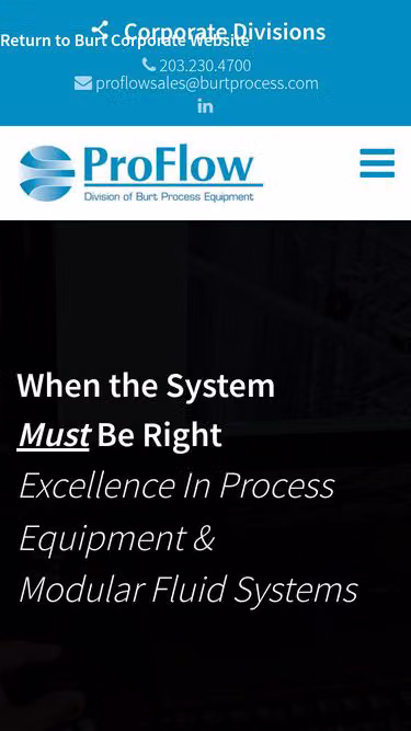 Screenshot of proflow.biz