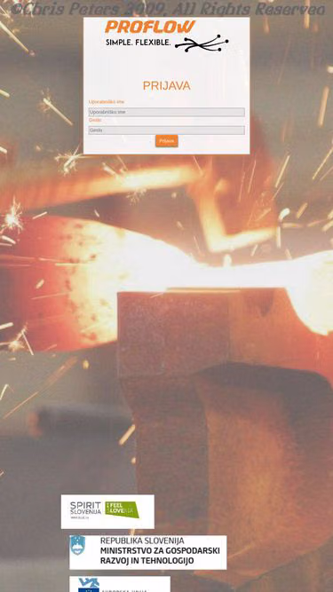 Screenshot of proflow.work