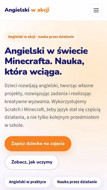 Screenshot of programmers.com.pl