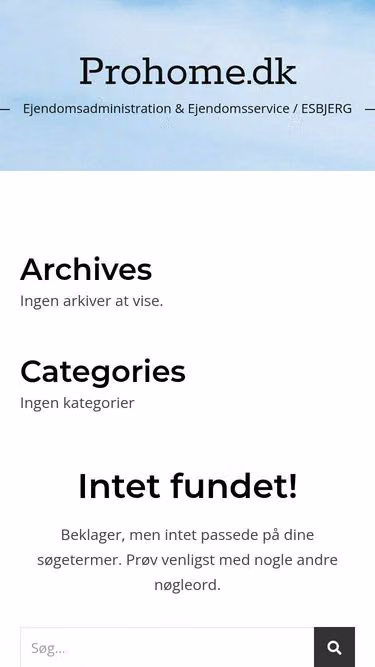 Screenshot of prohome.dk