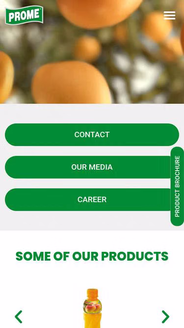 Screenshot of prome.com.bd