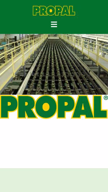 Screenshot of propal.cl